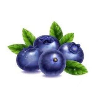 Fresh Blueberry 125G