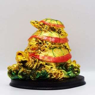 Triplet Tortoise on Top Gold