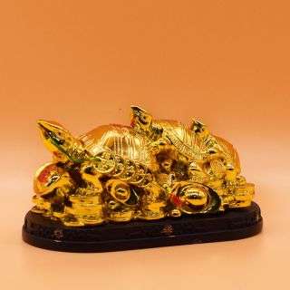 Triplet Tortoise At The Back