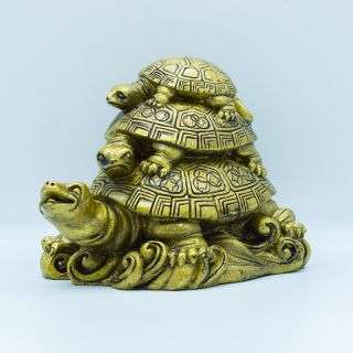 Copper 3 Generation Tortoise