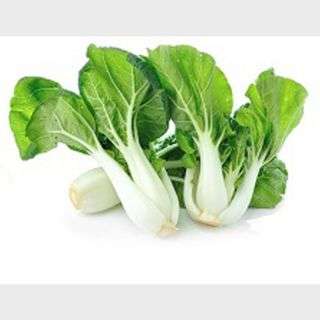 Fresh Pok Choy